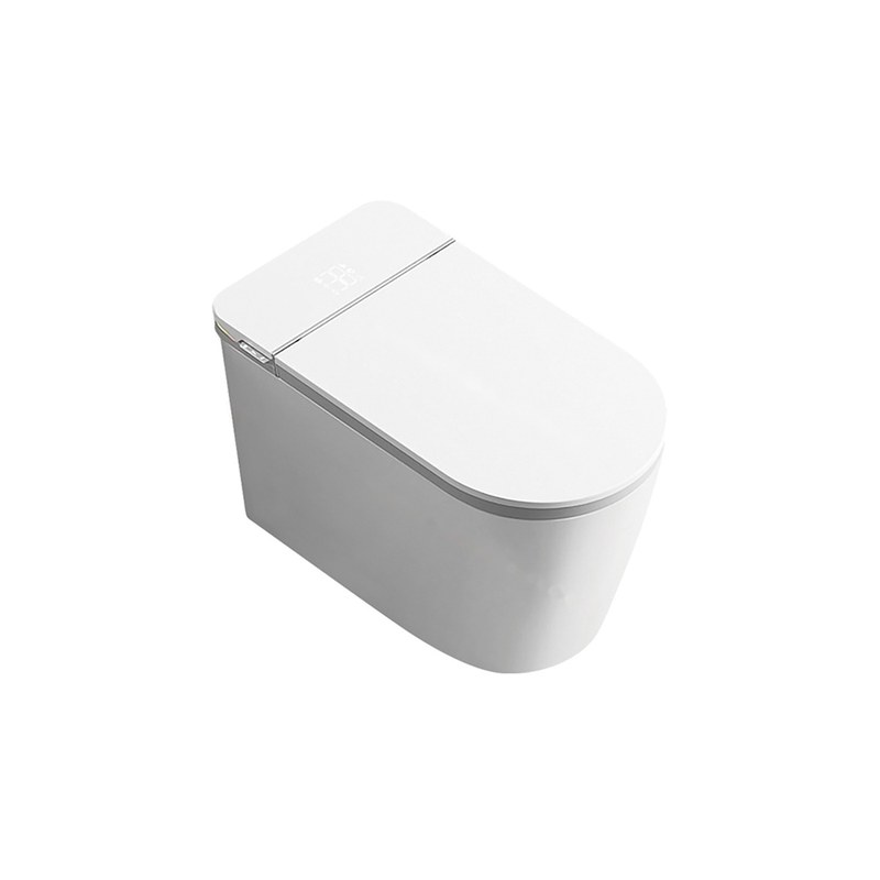 LT-TO-1040-WD patterned smart-toilets