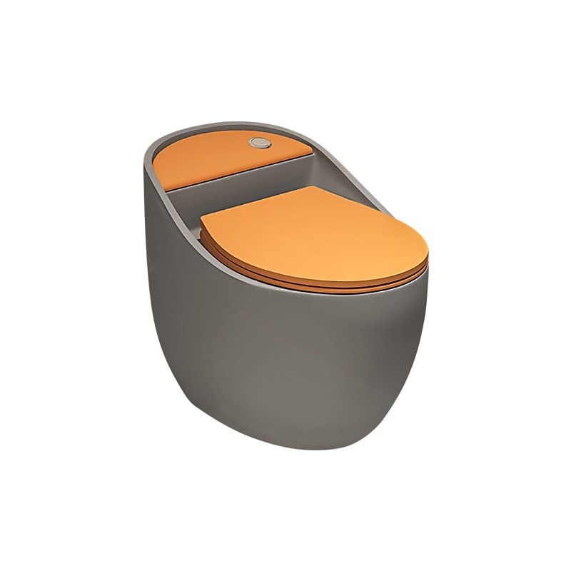 LT-1219-M-DGO patterned one-piece-toilets