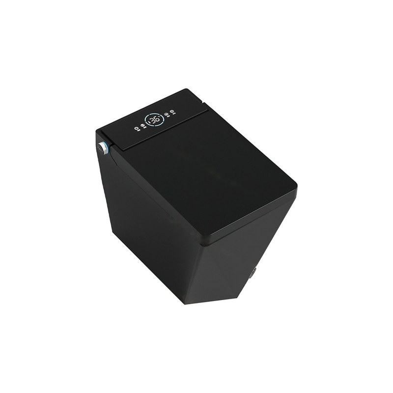LT-TO-1080-WD-BL black smart-toilets