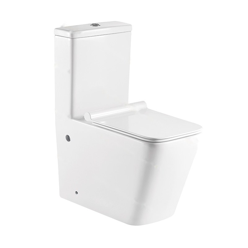 LT-1003-M-W white one-piece-toilets