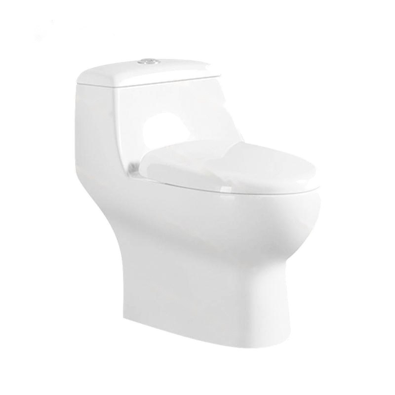 LT-1066 white one-piece-toilets