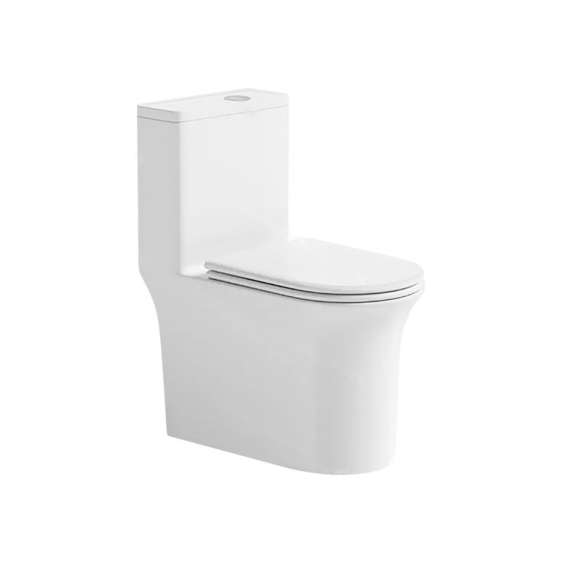 LT-1230 white one-piece-toilets