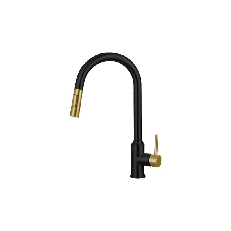 LT-10107-SS-TCCLSSCLRLT kitchen faucet, kitchen mixer tap, sink faucet