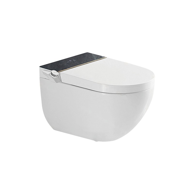 LT-TO-1059-C-WBL white smart-toilets