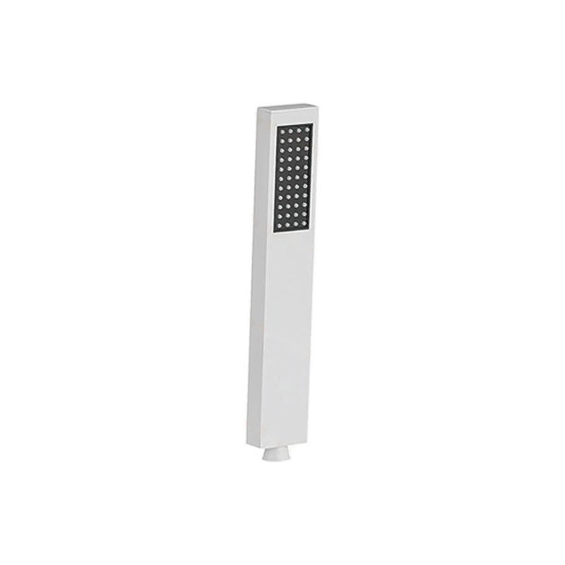 LT-10014-SS-SP hand shower, hand held shower head