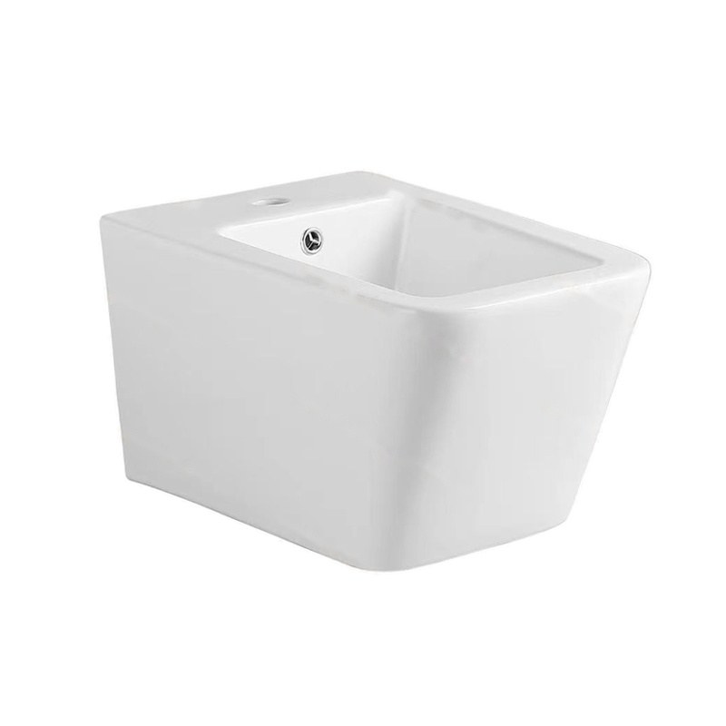 LT-454WB--Bidet bidet, bidet bowl