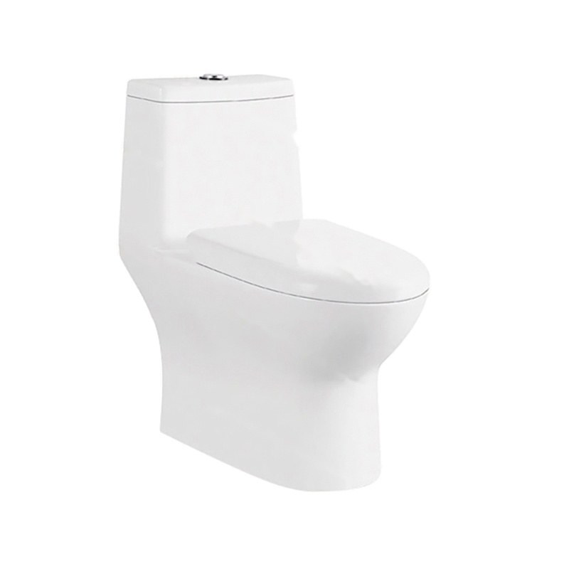 LT-1070 white one-piece-toilets