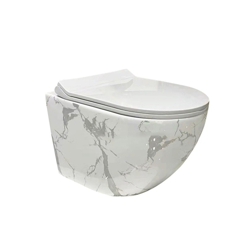 LT-401WA-DP-CT2 patterned wall-hung-toilets