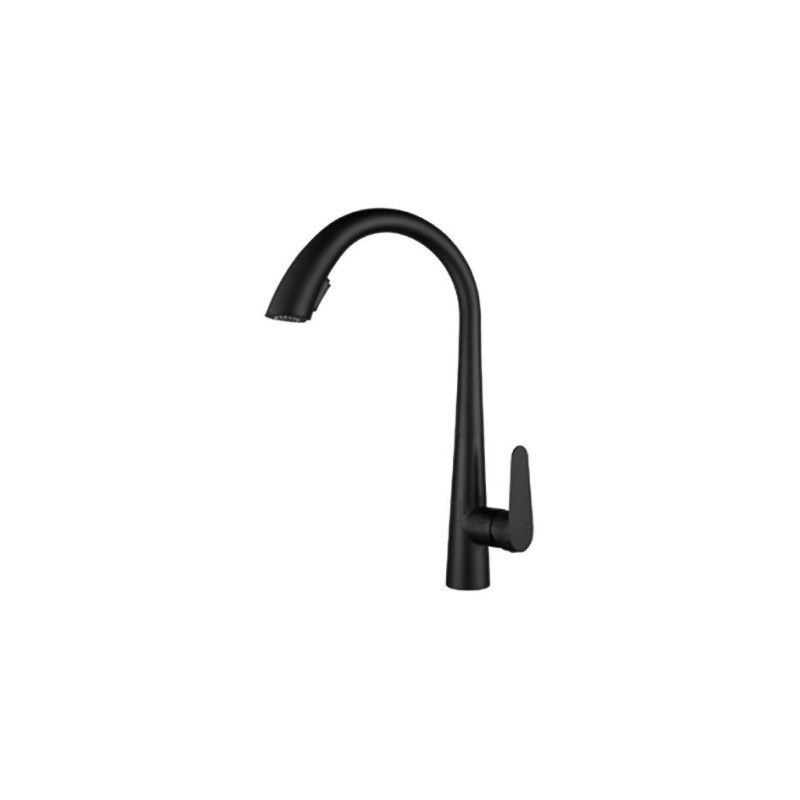 LT-10027-SS-TCCLSSCLRLT kitchen faucet, kitchen mixer tap, sink faucet