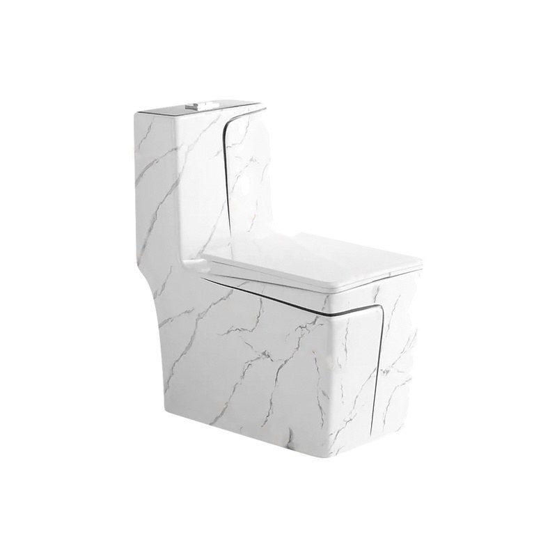 LT-1109-DP-WBLL patterned one-piece-toilets