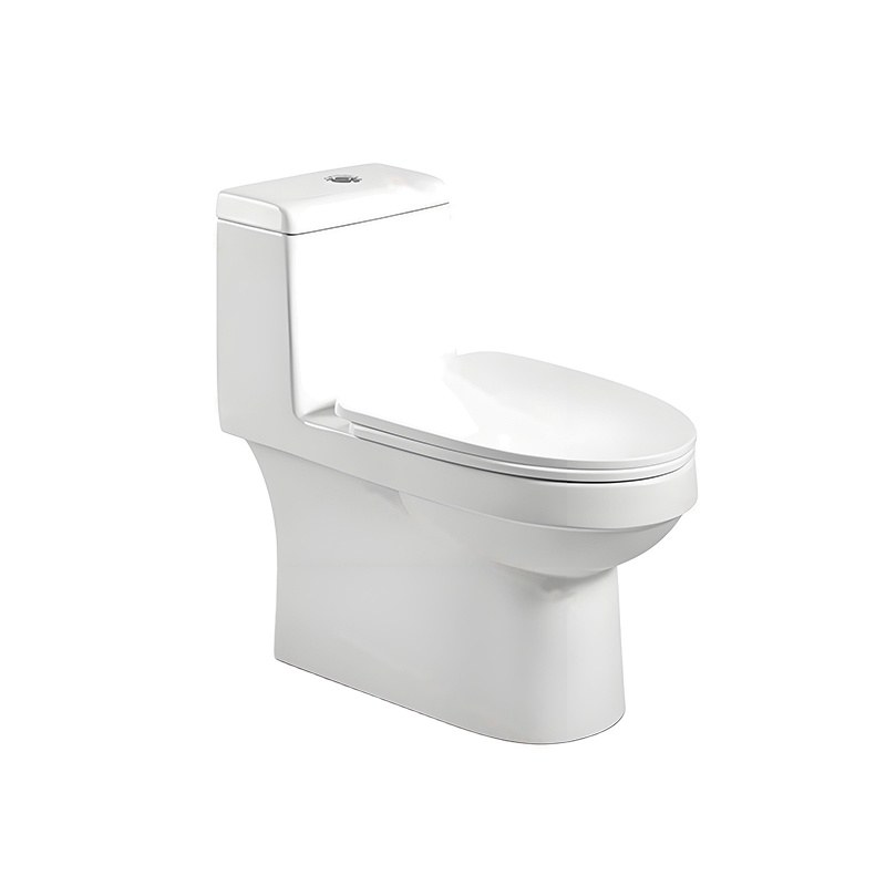 LT-1325 white one-piece-toilets
