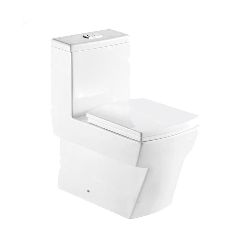 LT-1025 white one-piece-toilets