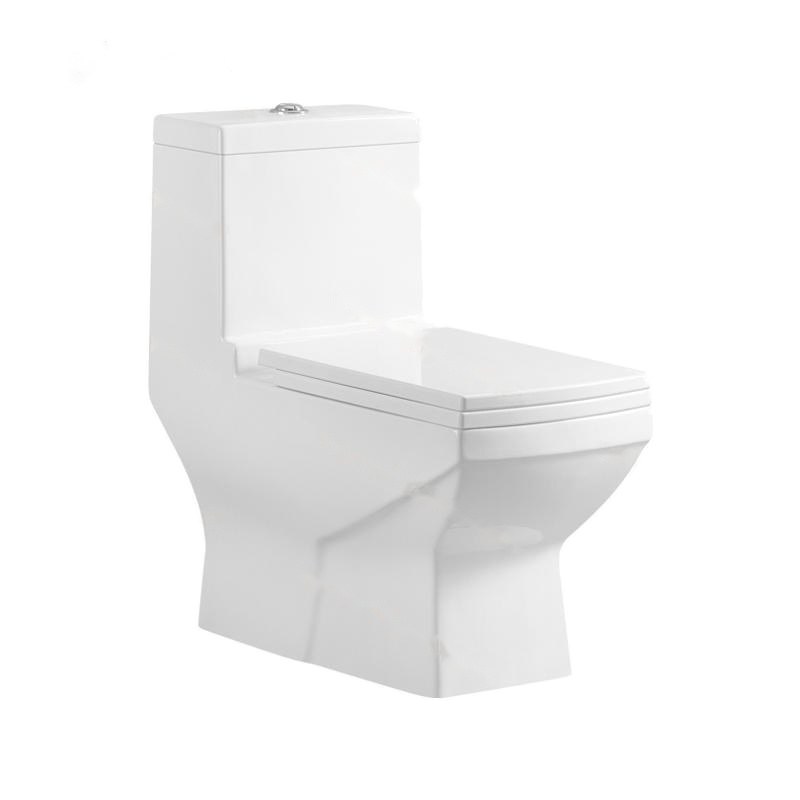 LT-1026 white one-piece-toilets