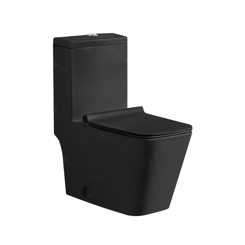 LT-1037-M-BL black one-piece-toilets