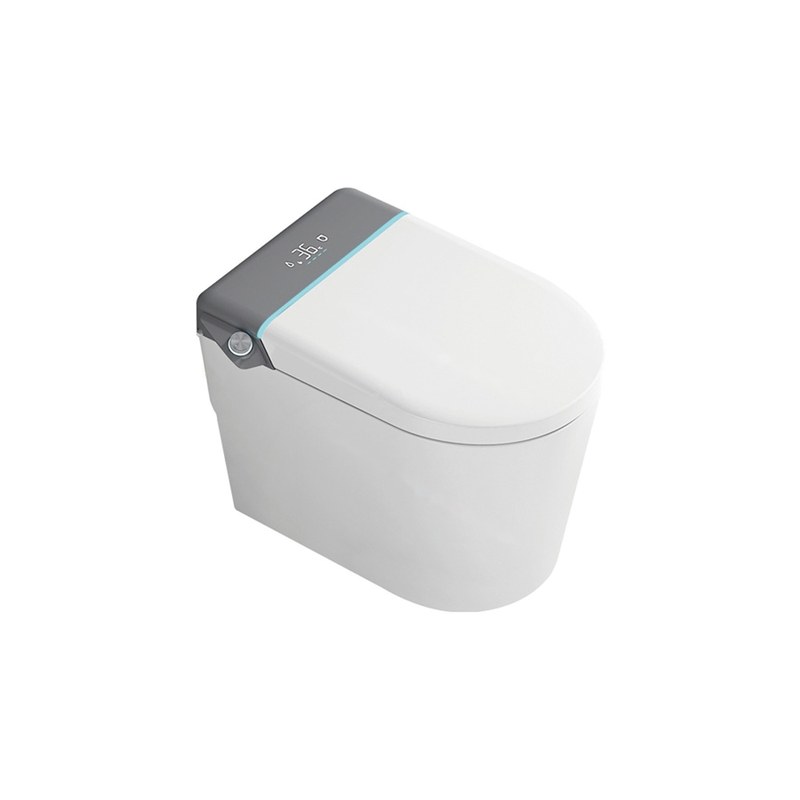 LT-TO-1078-WD-GR white smart-toilets