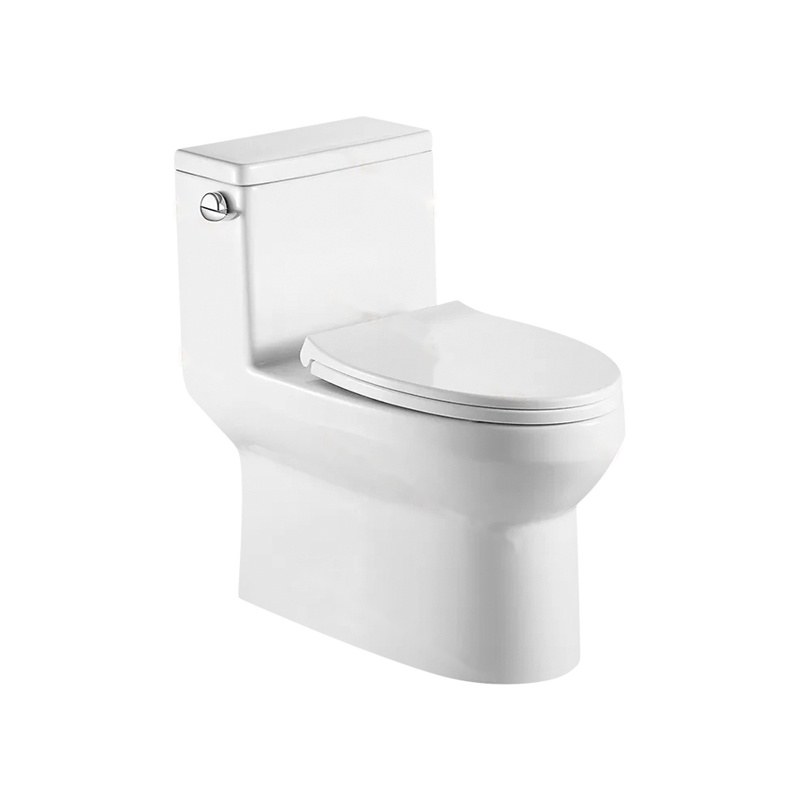 LT-1173 white one-piece-toilets