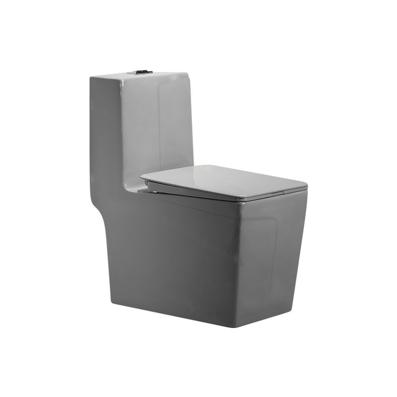 LT-1109-CG-DG grey one-piece-toilets