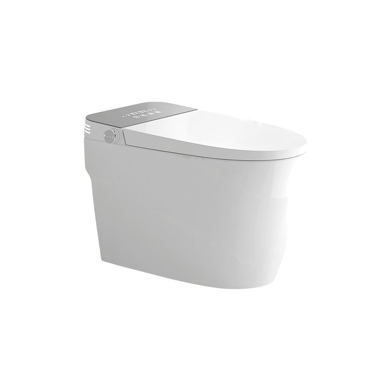 LT-TO-1068-WB-GR white smart-toilets