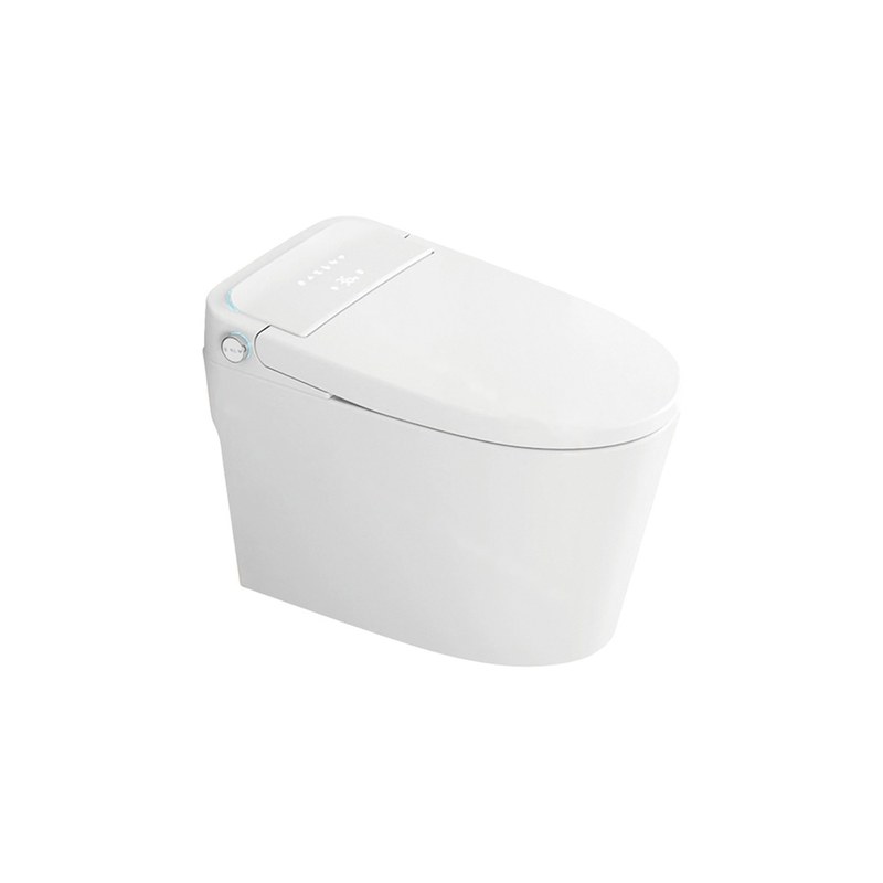 LT-TO-1024-B-W white smart-toilets