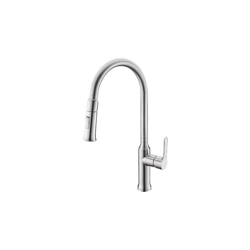 LT-10135-SS-TCCLSSCLRLT kitchen faucet, kitchen mixer tap, sink faucet