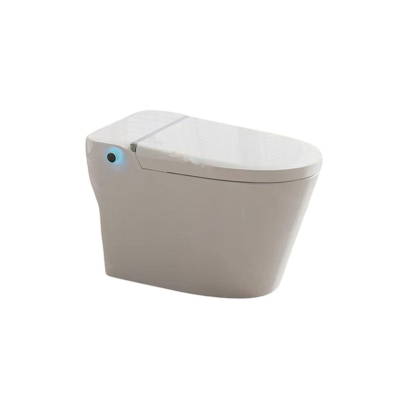 LT-TO-1118-WD patterned smart-toilets