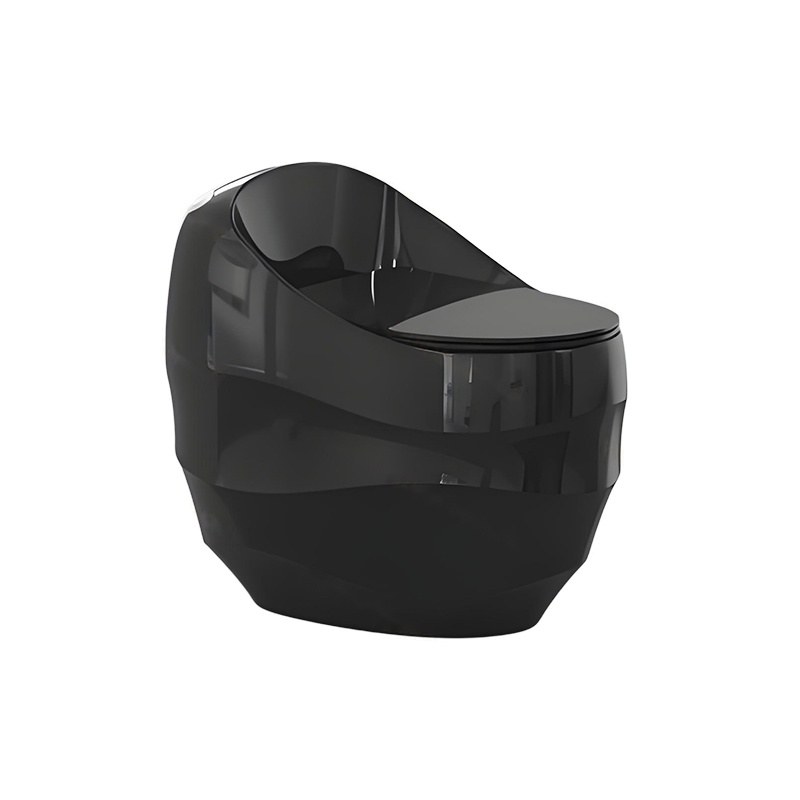 LT-1313-CG-BL black one-piece-toilets