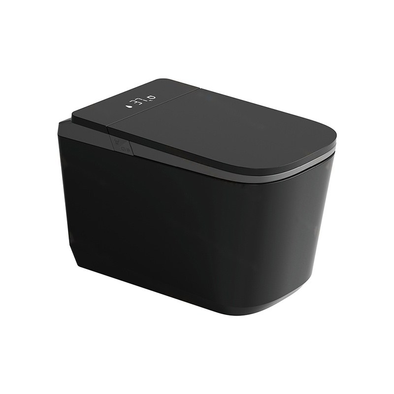 LT-TO-1135-WA-BLG black smart-toilets