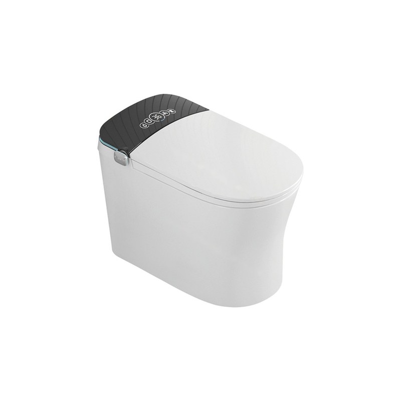 LT-TO-1066-WC-BL white smart-toilets