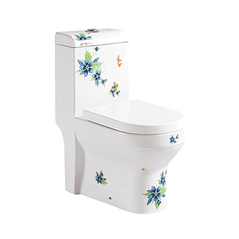 LT-1085-DC-WG patterned one-piece-toilets