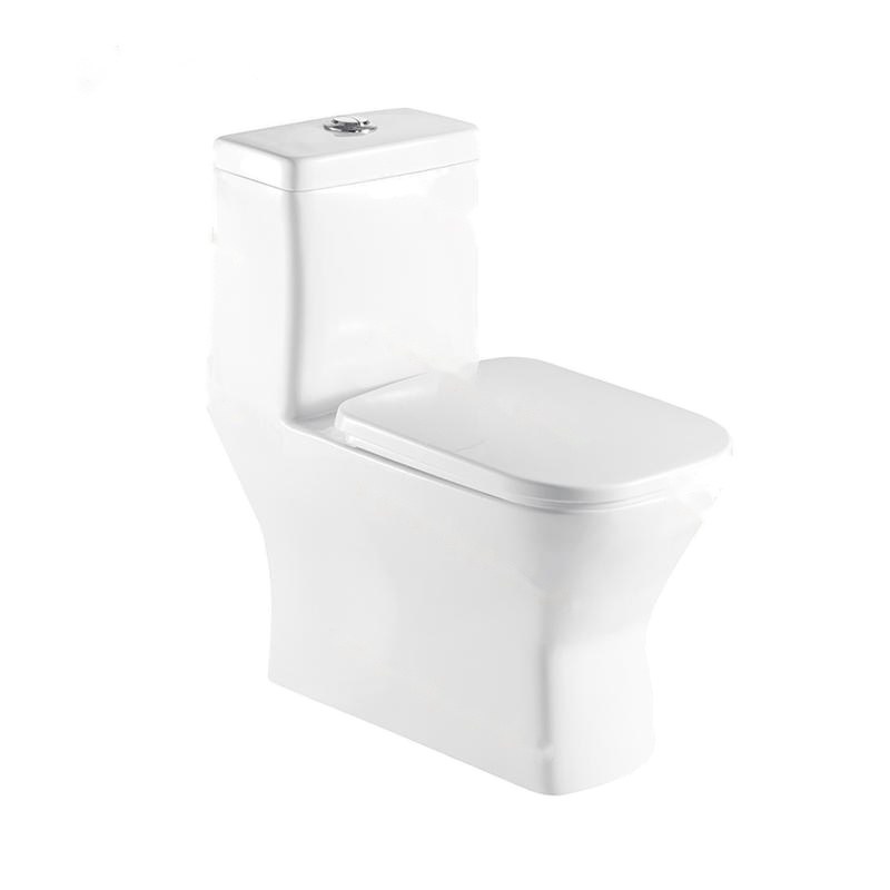 LT-1106 white one-piece-toilets