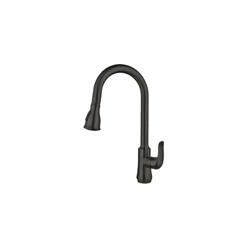 LT-10025-SS-TCCLSSCLRLT kitchen faucet, kitchen mixer tap, sink faucet