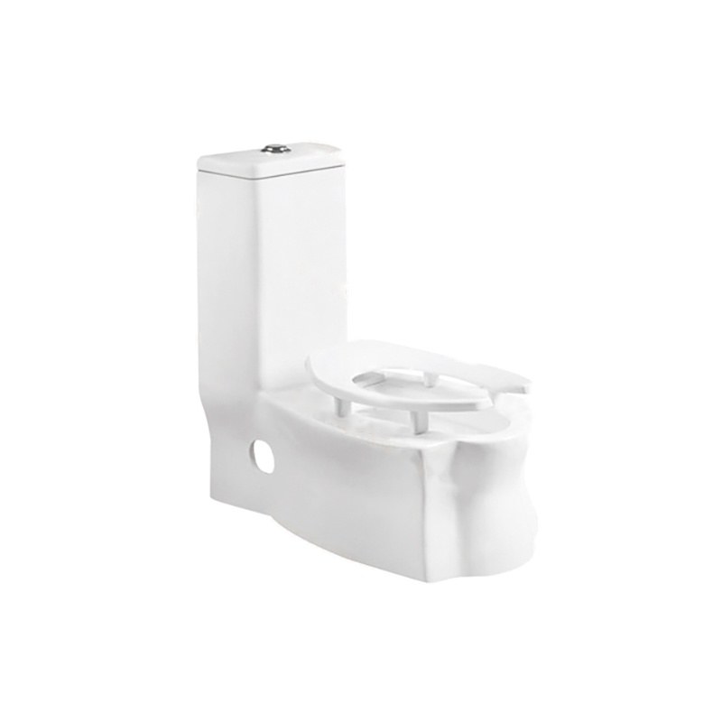LT-1128 white one-piece-toilets