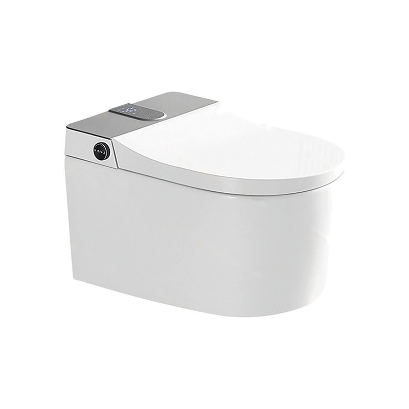 LT-TO-1062-C white smart-toilets