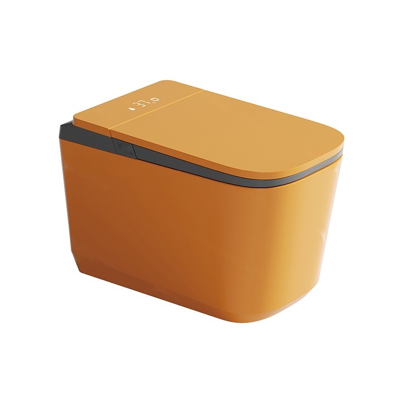 LT-TO-1135-WA-WO patterned smart-toilets