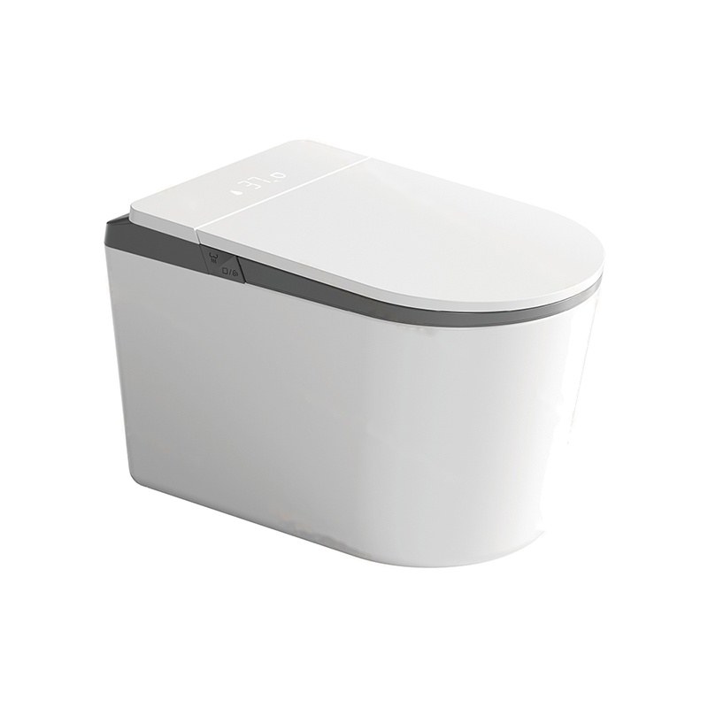 LT-TO-1136-WA-WG grey smart-toilets
