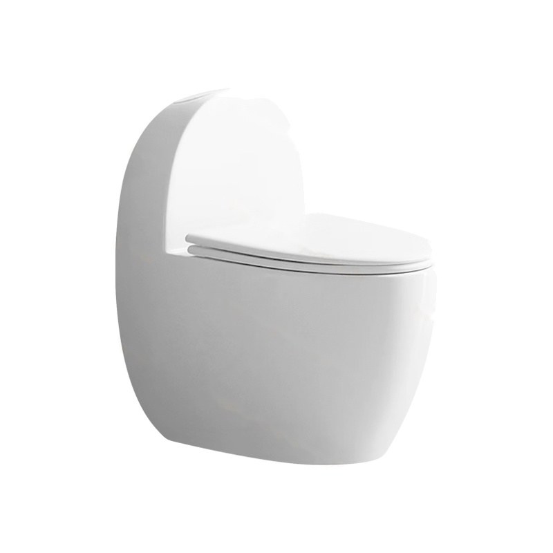 LT-1240 white one-piece-toilets