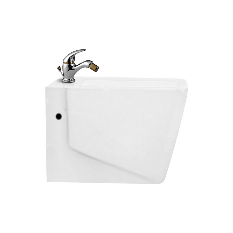 LT-408WB--Bidet bidet, bidet bowl