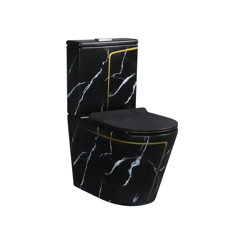 LT-202-CS-BLGL black two-piece-toilets