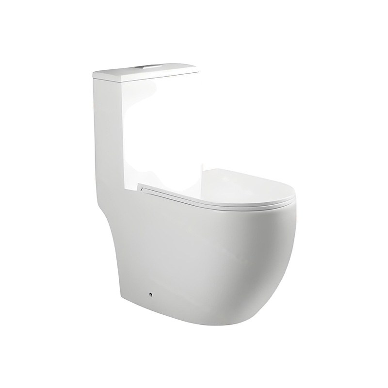 LT-1347 white one-piece-toilets