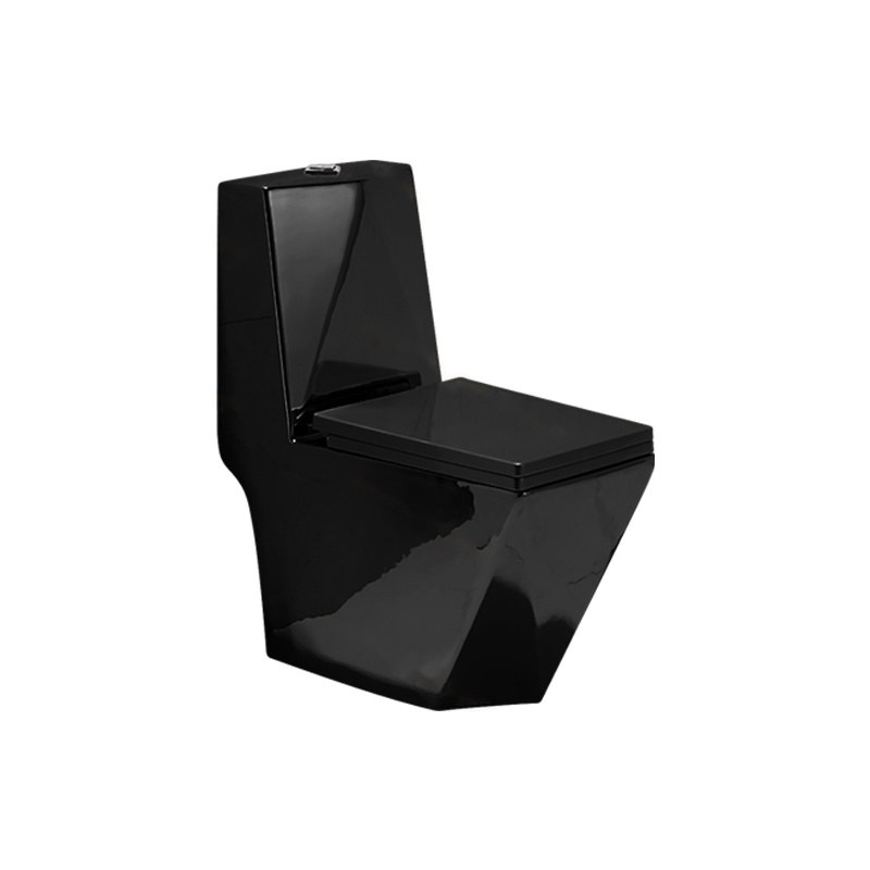 LT-1107-CG-BL black one-piece-toilets