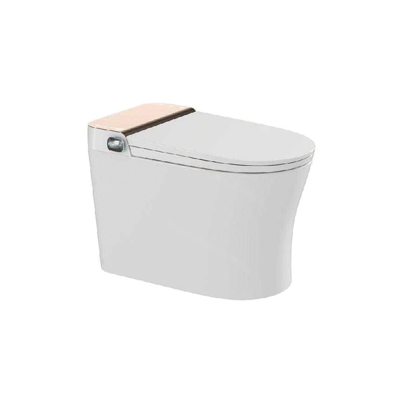 LT-TO-1025-B-RG white smart-toilets