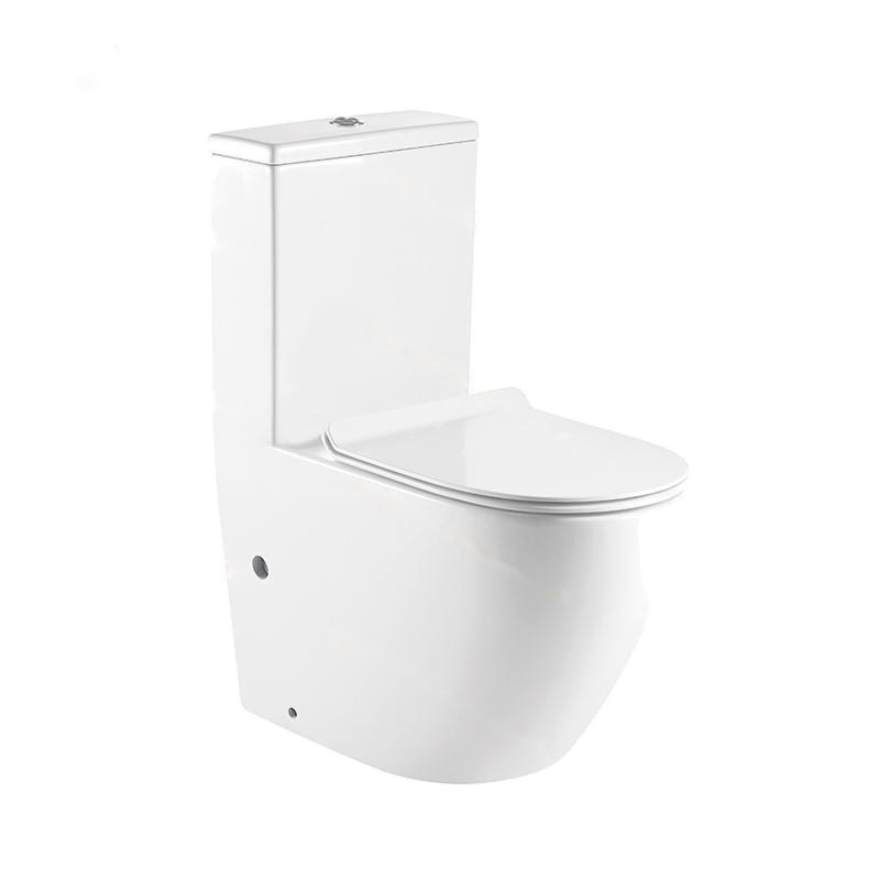 LT-1001 white one-piece-toilets