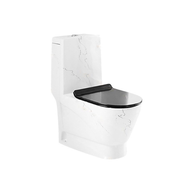 LT-1013-DP-CT1 white one-piece-toilets