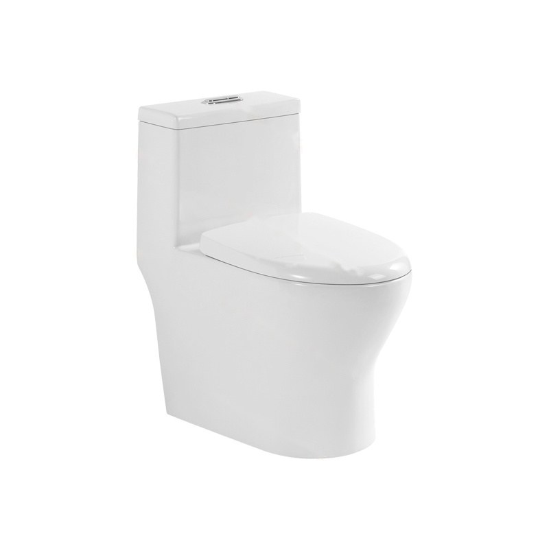 LT-1248 white one-piece-toilets