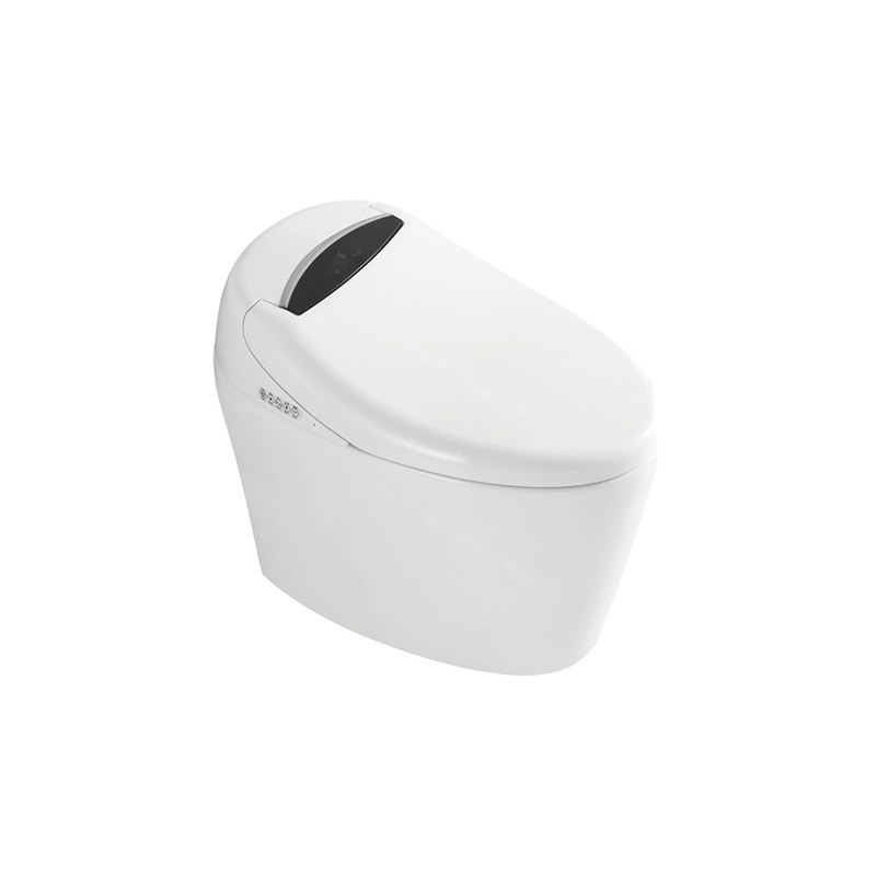 LT-TO-1013-D white smart-toilets