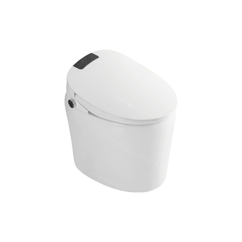 LT-TO-1017-C white smart-toilets