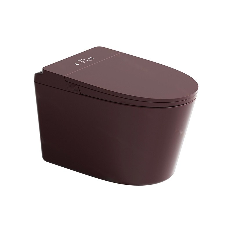 LT-TO-1137-WB-CHB colored smart-toilets