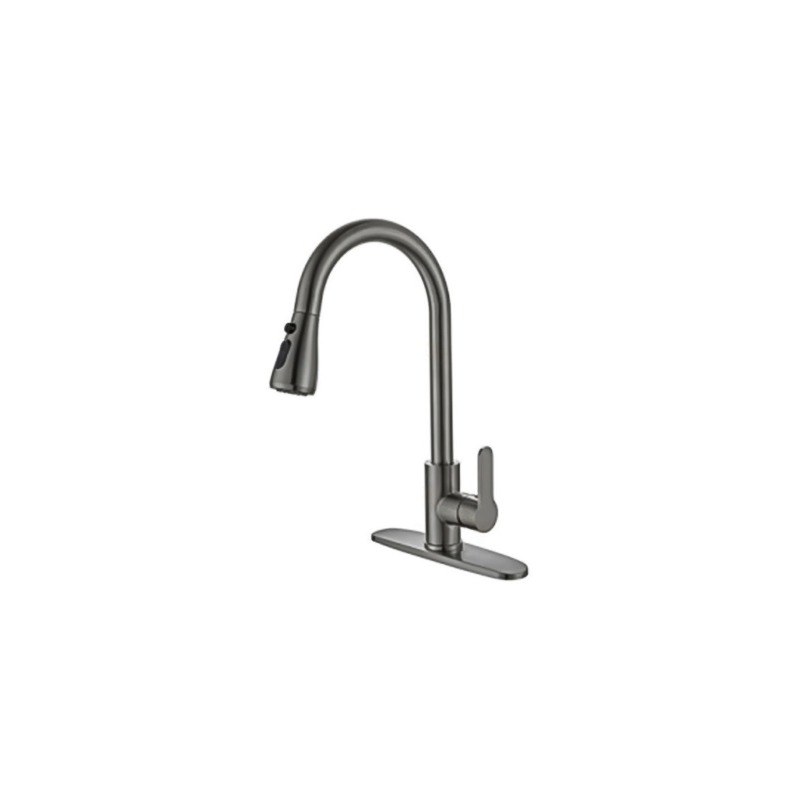 LT-10012-SS-TCCLSSCLRLT kitchen faucet, kitchen mixer tap, sink faucet