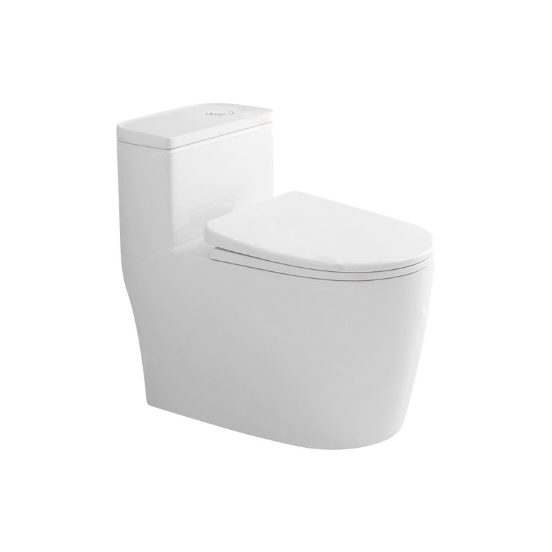 LT-1269 white one-piece-toilets
