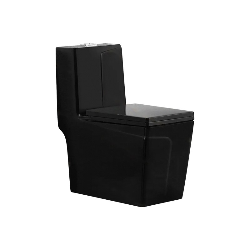 LT-1109-M-BL black one-piece-toilets